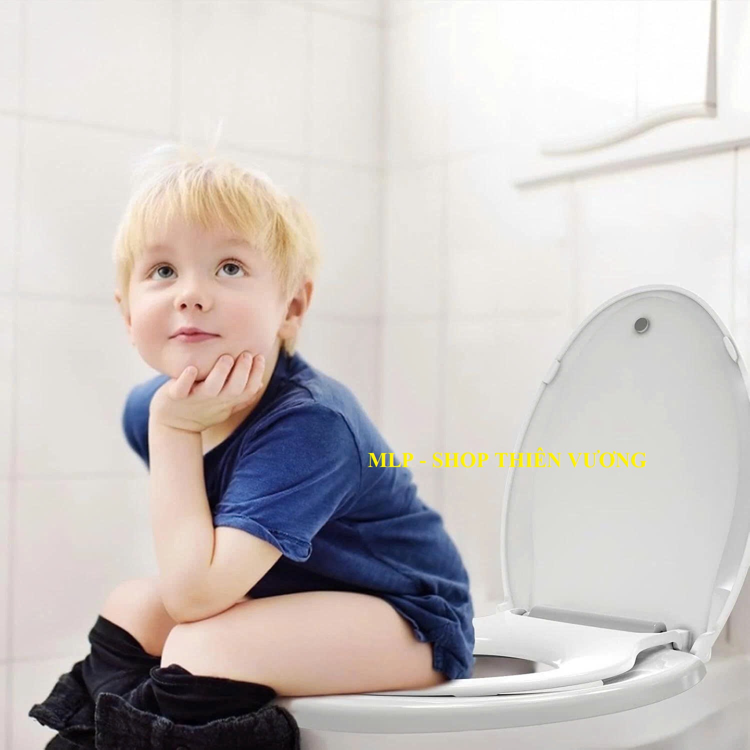 NẮP BỒN CẦU - INAX - TOTO- VIGLACERA- AMERICAN
