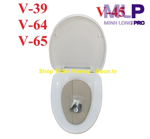 Nắp Viglacera Mã V45,V64,V65,V39